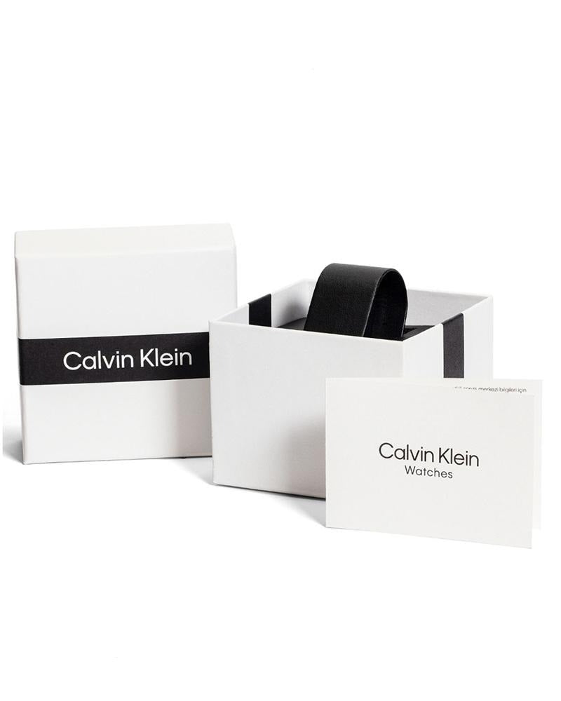 Calvin Klein 25100006 Timeless Women 38mm Silver Dial Stainless Steel Mesh Bracelet Quartz Watch