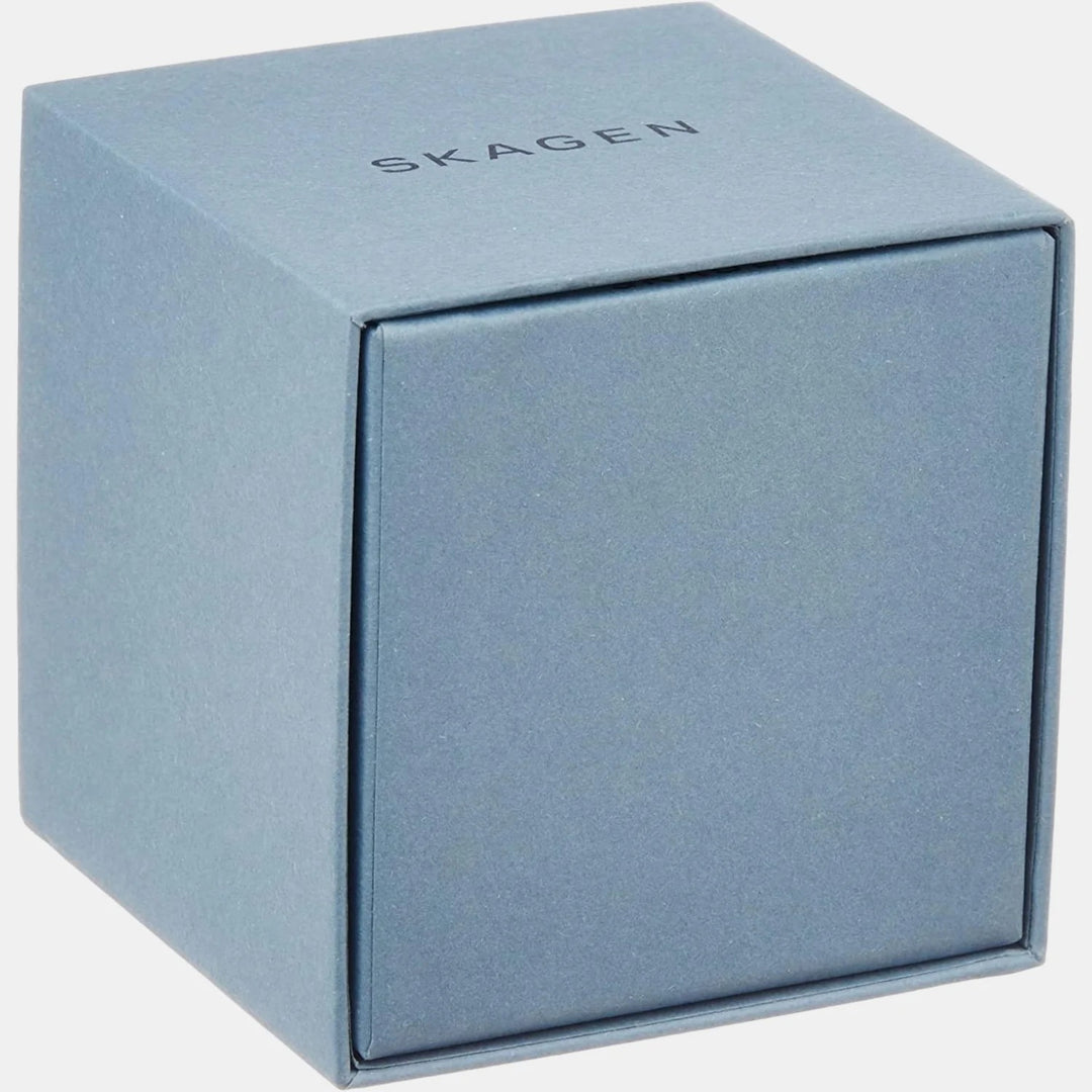 Skagen Melbye SKW6006 Titanium and Midnight Steel Mesh Day-Date Men&