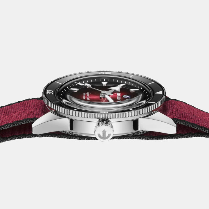 Rado Captain Cook Automatic 39mm Burgundy Dial Stainless Steel Watch R32223408